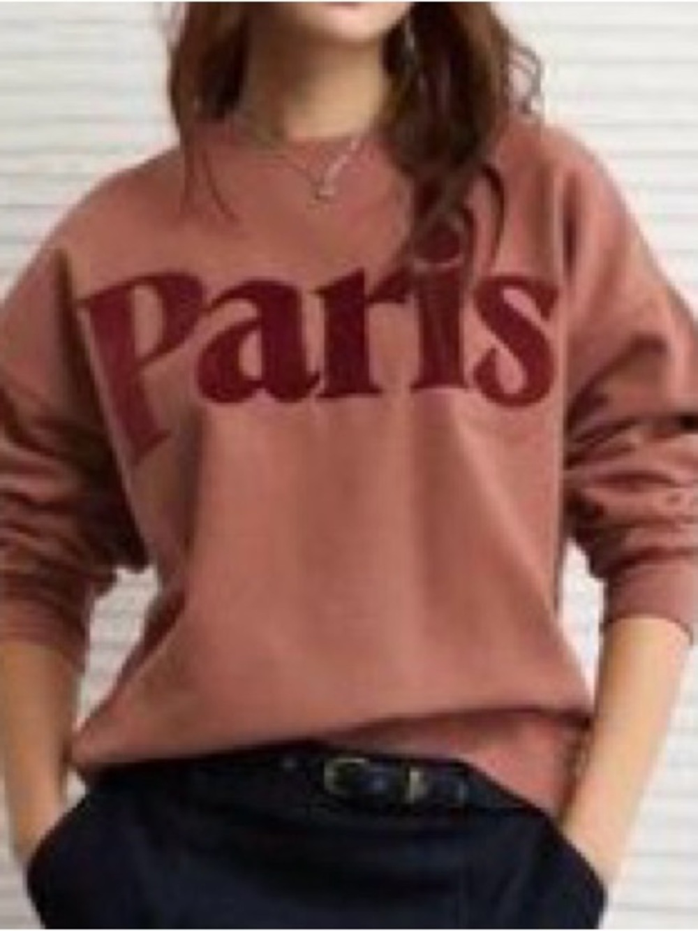 American Eagle sz XL crew sweatshirt with velvet PARIS